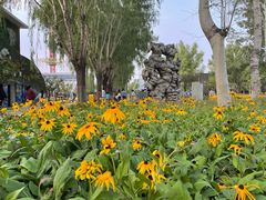 -北戴河集发农业梦想王国