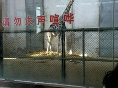 -石家庄市动物园