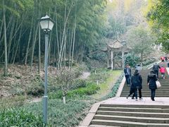 -峙山公园