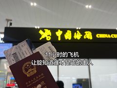-谢列梅捷沃国际机场
