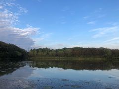 -昆山城市生态森林公园