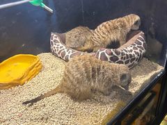 -太平洋海底世界