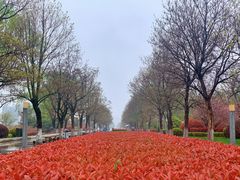 -云龙湖旅游景区