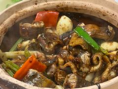 生啫金边花鳝-天宝食坊·啫啫煲大排档(西华路店)
