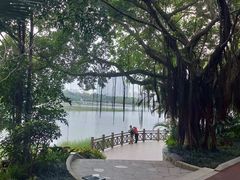 -南宁南湖公园