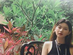 -呀诺达热带雨林