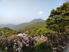-梧桐山风景名胜区