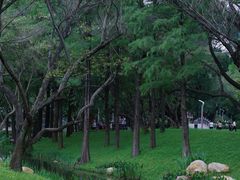 -人民公园(罗湖区)