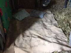 -龙疆湖
