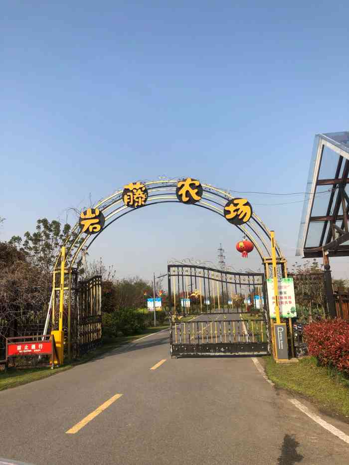 岩藤农场-"本来是去天王看樱花的,正好到了吃饭的点,.