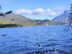 -丽江泸沽湖景区