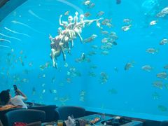 -瑞德姆美人鱼海底演艺主题餐厅(亚龙湾店)