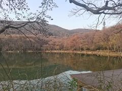-紫霞湖公园