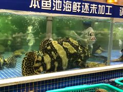-丰卓会海鲜自助(中润大道店)