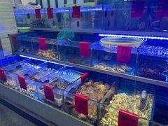 -金海湾海鲜排档(朱家尖店)