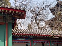 -宫事颐庭·老佛爷贵寿下午茶(颐和园店)