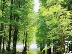 -广州市白云山风景名胜区