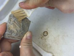 -房山世界地质公园博物馆