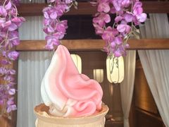 -鸽舞笙平金牌烧鸽子·融合菜(鲁谷店)