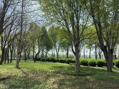-毛遂公园