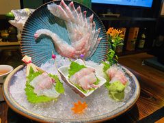白鲷刺身-鸟鹏烧鸟居酒屋(熙龙湾店)