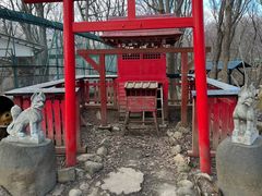 -宫城藏王狐狸村