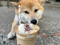 -HANA COFFEE(长寿路店)