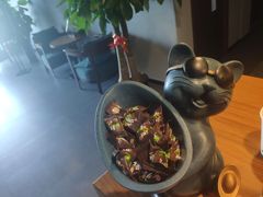 -梵猫·新养生(湛江鼎盛店)
