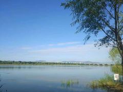 -绿堤公园