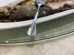-乐和餐饮(活力源店)
