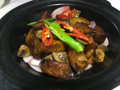-青叶202都市餐厅(迪诺水镇店)