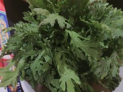 -京悦南门涮羊肉·羊蝎子火锅(田林路店)