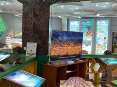 -海口火山口国家地质公园