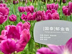 -国家植物园