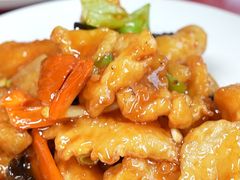 炒鱼片-老苏扬饭店
