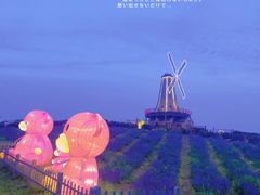 -大塘金香草谷