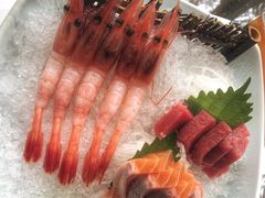 -FOUNT创意日料