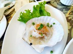 夏威夷贝-老虎滩船说·海胆水饺·大连海鲜(老虎滩店)
