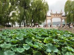 -杭州西湖柳莺里酒店·闻莺厅