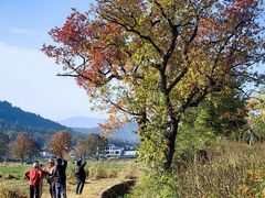 -塔川景区