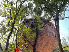 -天门沟九州驿站树上汤泉