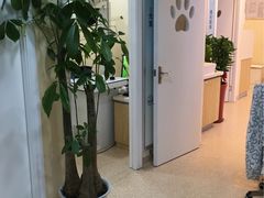 -芭比堂动物医院·24小时·眼科中心(深圳中心)