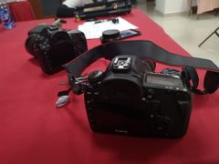 -红瓜子 影视后期 摄影摄像设计 新媒体运营技能培训(宝安校区)