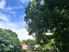 -深圳湾公园(南山区)
