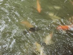 -珠海圆明新园