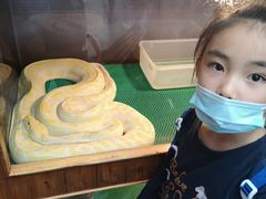 -上海大自然野生昆虫馆(东方明珠·爬宠昆虫探索中心)