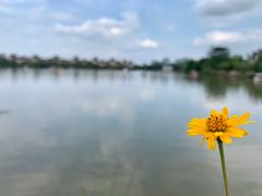 -美的鹭湖森林度假区