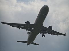 -空港花田景区