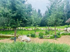 -北京野生动物园