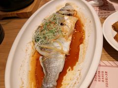 海鲈鱼-顺风汤馆·广府粤菜(江宸天街店)